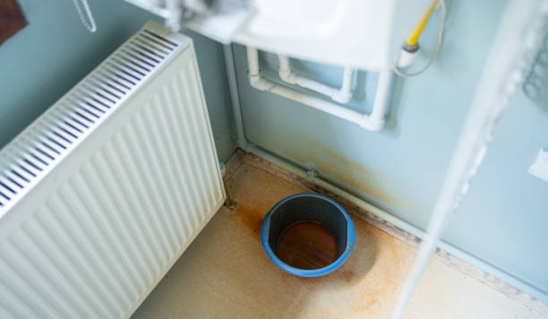 Best Water damage cleanup near me  in Sharon Center, OH